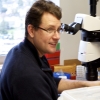 Brian Kraemer, PhD