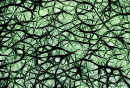 Brainmapstudy image1