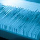 Slides for microscope